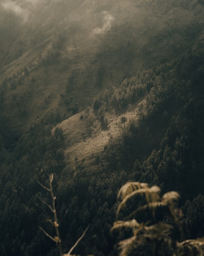 白天的青山和棕山